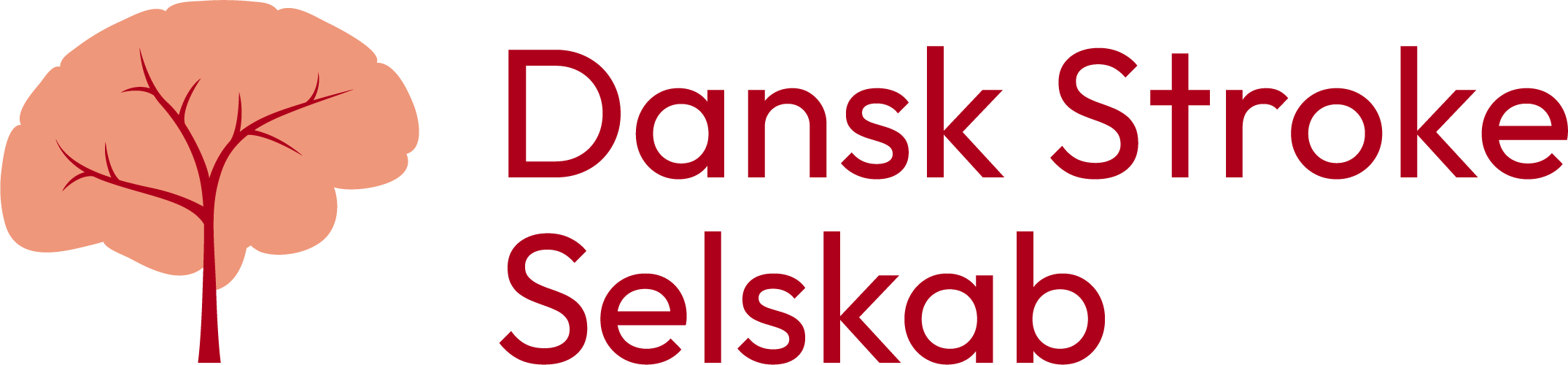 Danish Stroke Society